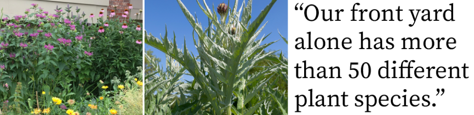 A diversity of plants with quote: "Our front yard alone has more than 50 different plant species."