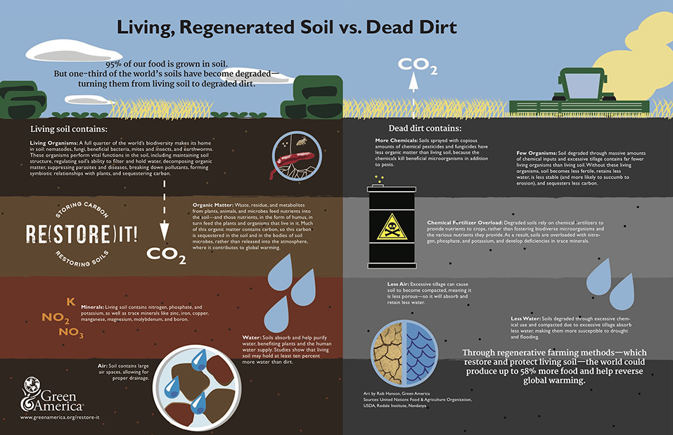 soil poster