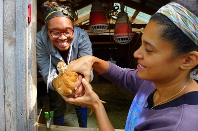 woman holding chicken