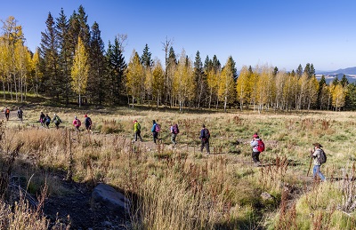 Hikers in Flagstaff