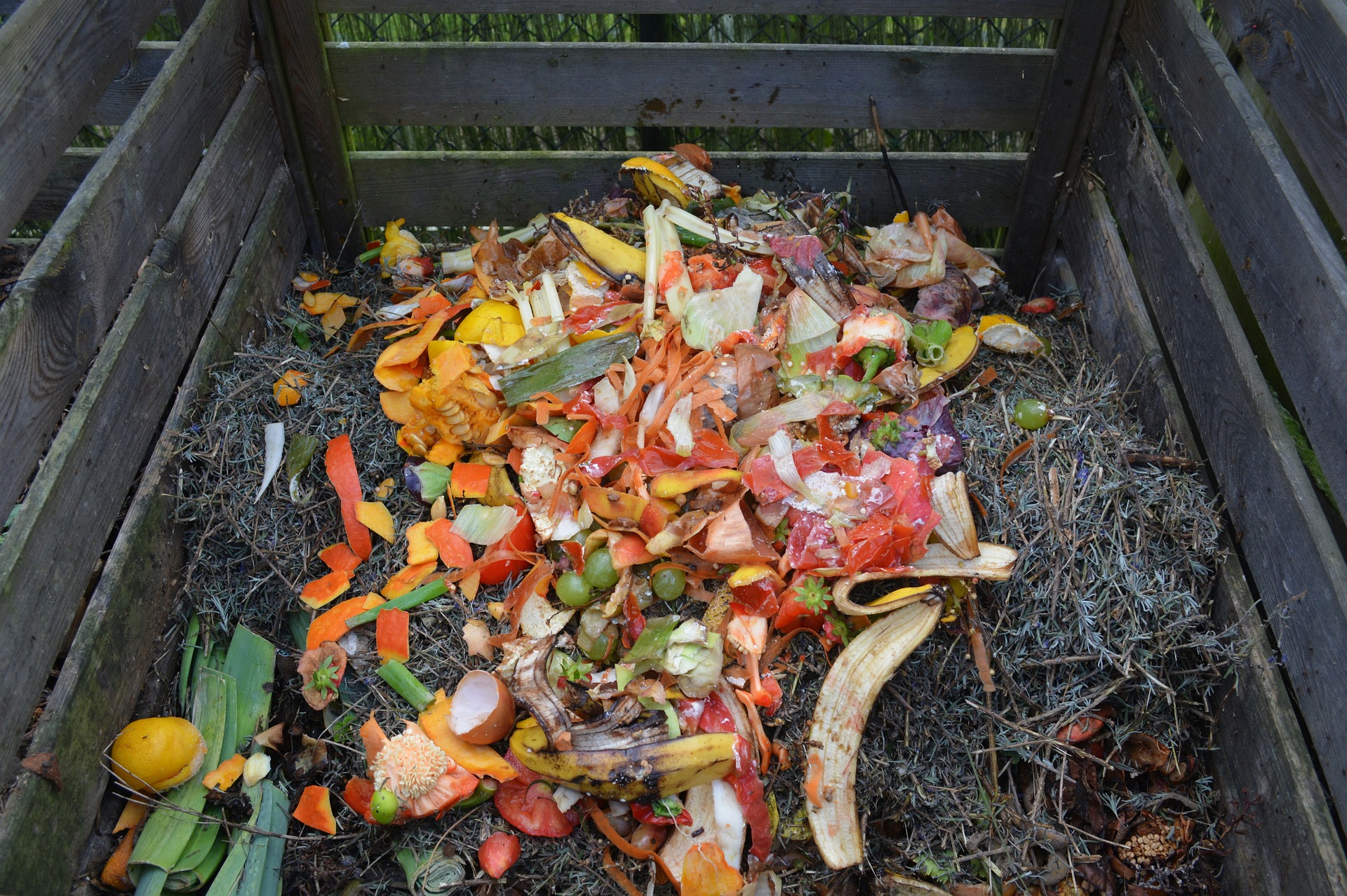 compost