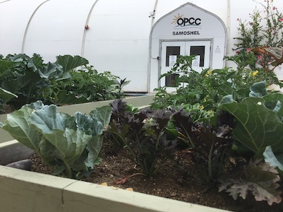 garden in front of homeless shelter