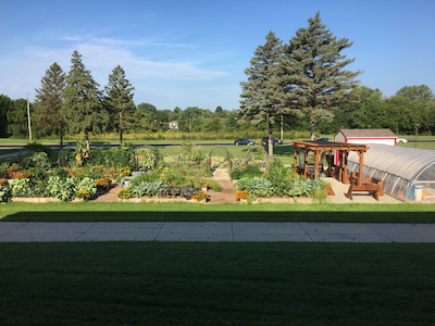 aerial view of diverse school garden