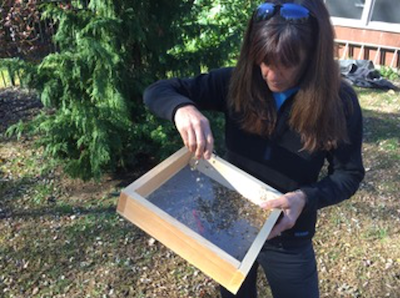 woman seed saving