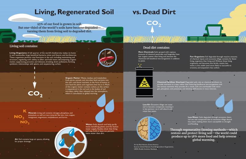 soil--updated-2017_0.jpg