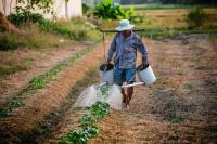 Man Watering Plants