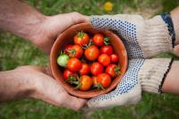 Image: two pairs of hands holding a pot of tomatoes. Topic: 9 Ways to Support Sustainable Food