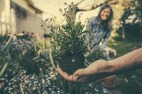 Image: people gardening. Title: Worm Composting: All-Natural Recycling