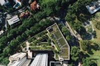 Image: a green roof in Singapore