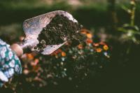 Image: shovel of soil in garden. Title: Soil Testing in your Climate Victory Garden 