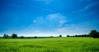 Green field with blue skies