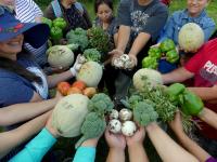 group harvest; people holding crops