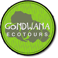 Gondwana Ecotours offers sustainable trips to select destinations around the world.