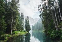 a photo of a wide river running through a green, coniferous forest and mountains in the far distance