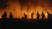 Firefighters fight large fire