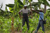 Kofi Boa on his farm 