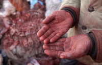 Image: worker's dyed hands. Title: Decoding a Corporate Response: The Carter’s Edition