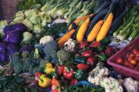 A plethora of vegetables; red, yellow, and green peppers; purple cabbage; green broccoli; cauliflower; yellow zucchini