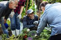 Climate Victory Gardening