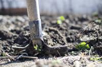 shovel in ground