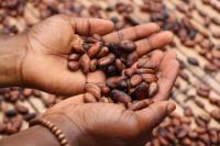 Image: hands holding cocoa beans. Title: Chocolate Retailer Scorecard