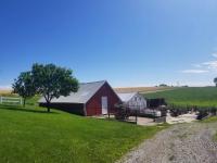 Farm in Kalona, IA