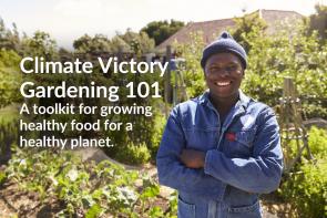 Image: man standing proudly in garden. Text: Climate Victory Gardening 101, A toolkit for growing healthy food for a healthy planet.