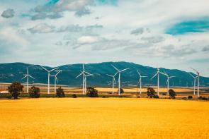 Image: wind turbines in golden field. Title: Clean Energy Victory Bonds Legislation Gets Strong Support from Green America, American Sustainable Business Council, National Wildlife Federation