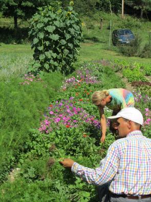 Weeding in the Seed Garden