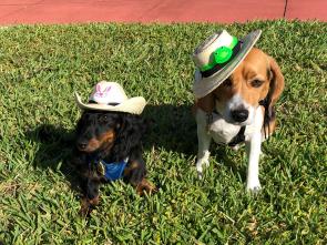 Emmett and Hobbit in their Easter Bonnets 