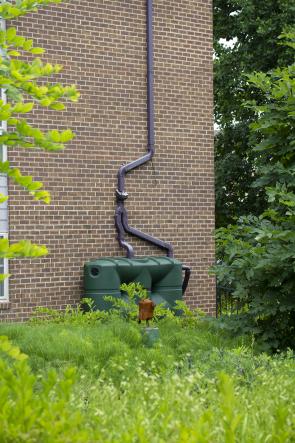 The picture is of a green landscape, featuring a large green cistern in the background that helps capture rainwater overflow and decreases erosion on the property.