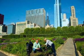 GreenMark Media_Lurie Garden