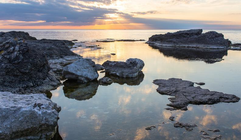 water landscape