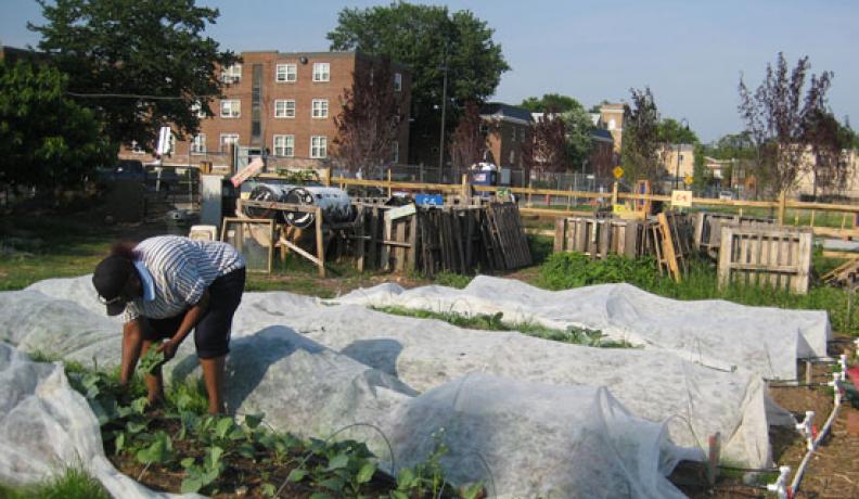 common good city farm