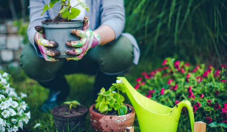 woman in her garden with plants and watering can