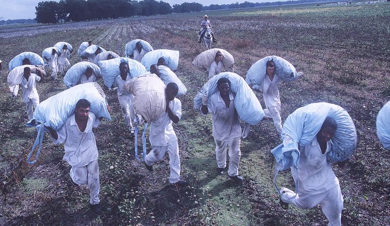 Image: prisoners haul bags through a field. Title: On Sale Now: Prison Labor