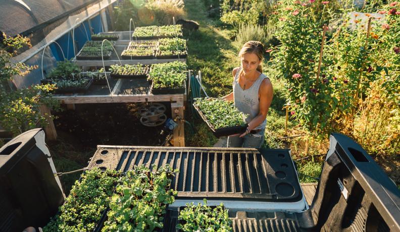 Meredith Sheperd working by a greenhouse.