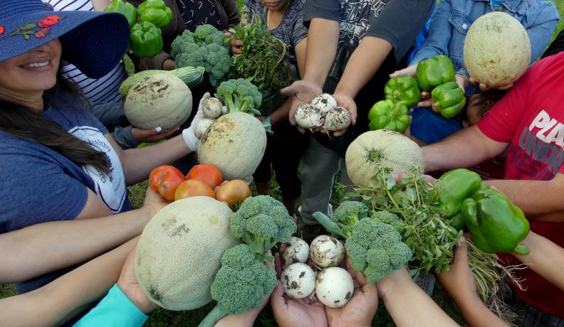 group harvest; people holding crops