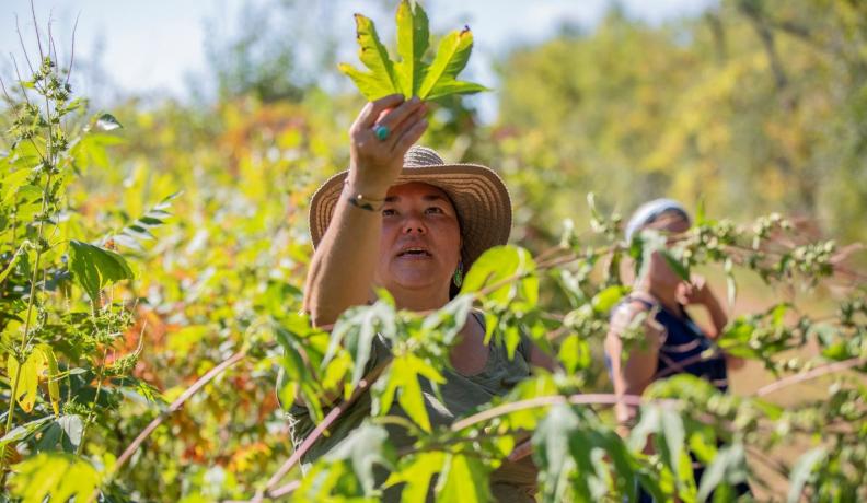 Linda Black Elk teaching a foraging class in September 2019.  Photo by Jaida Grey Eagle. 