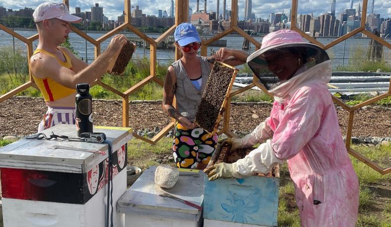 three people handling beehives outside NYC