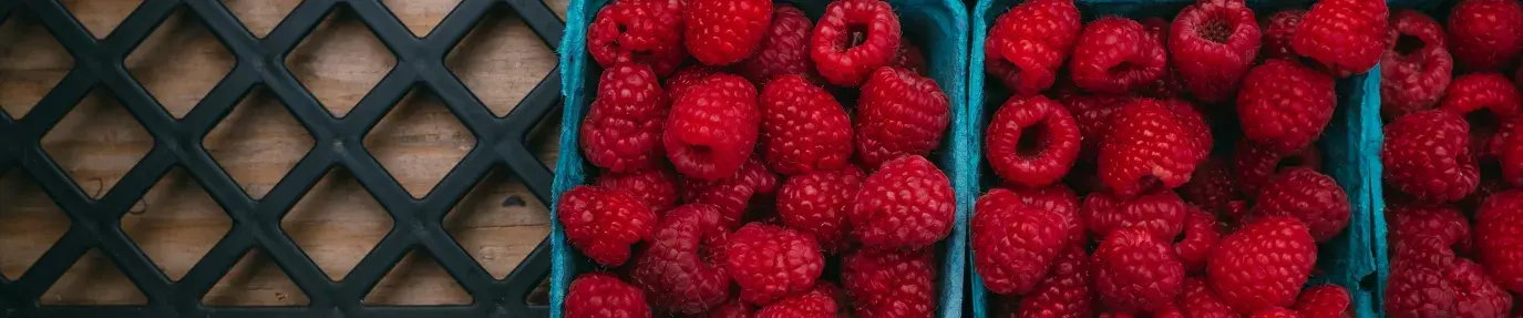 raspberries 