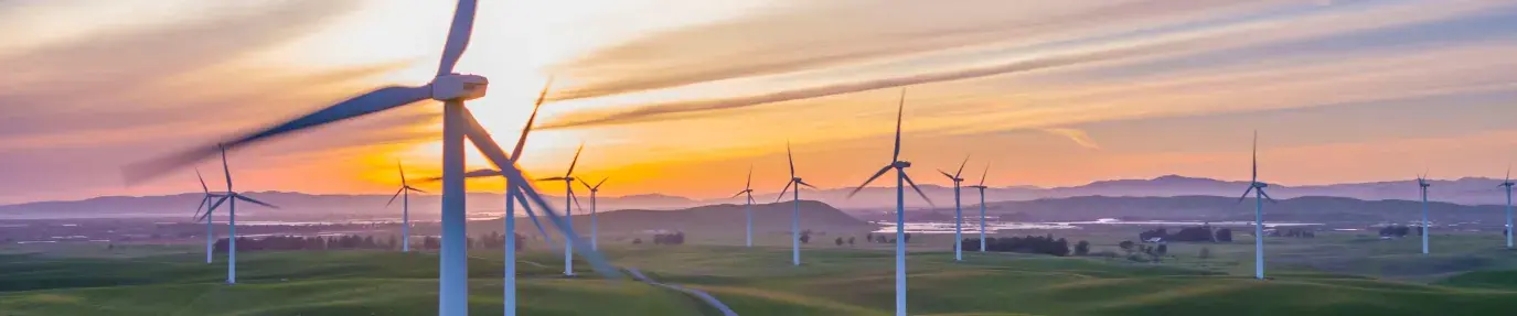 windfarm at golden hour; wind is an important factor for reducing carbon emissions