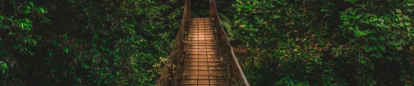 Image: rope bridge in forest. Title: COVID-19: Crisis and Call to Humanity for a Better Way Forward 