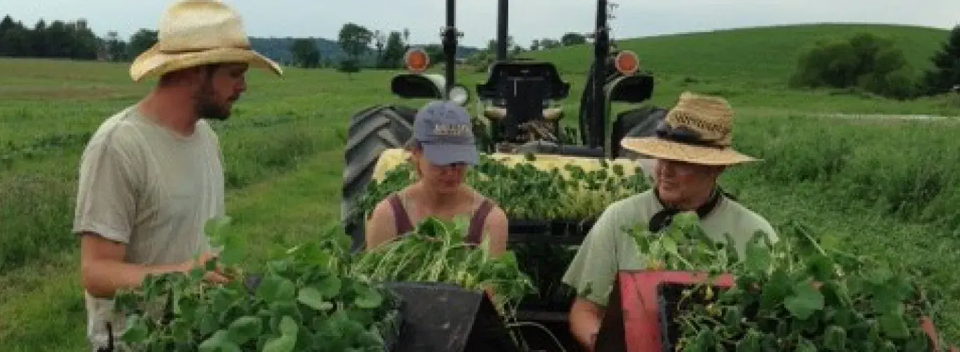 Ross Duffield, Rodale Institute’s farm manager; Madeline Keller, Rodale intern; and Larry Byers, Rodale intern; using a no-till transplanter.