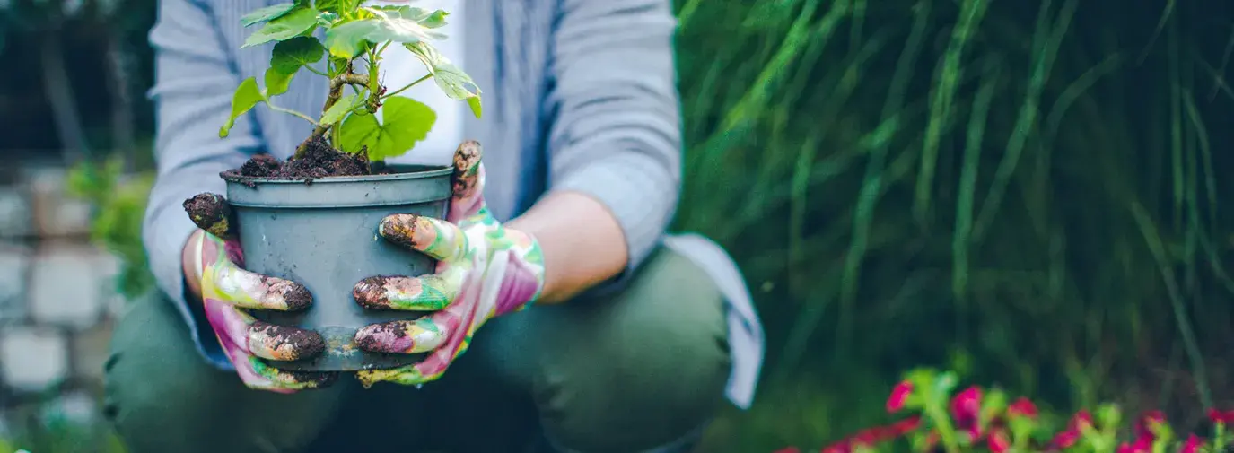 woman in her garden with plants and watering can