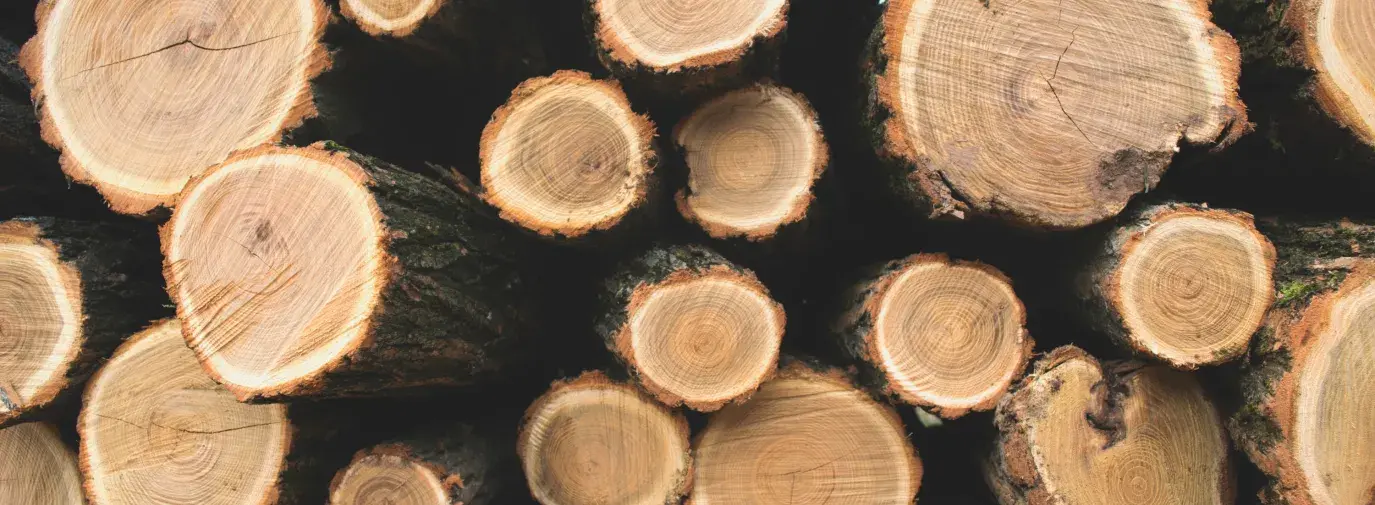 Wood logs in a pile