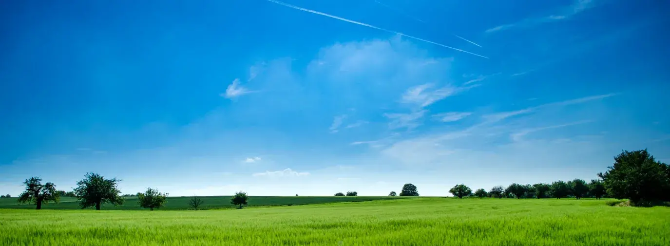 Green field with blue skies