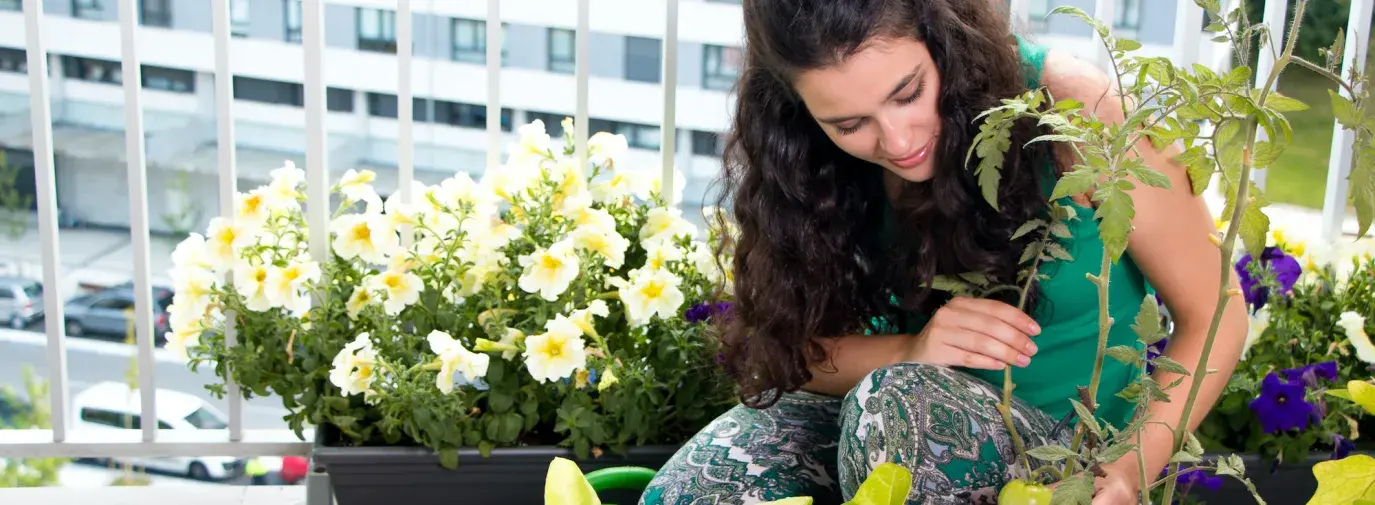 Image: woman gardening on balcony. Title: Quarantined Americans Turning to WWII-Era Inspired “Climate Victory Gardens” to Grow Food, Improve Environment