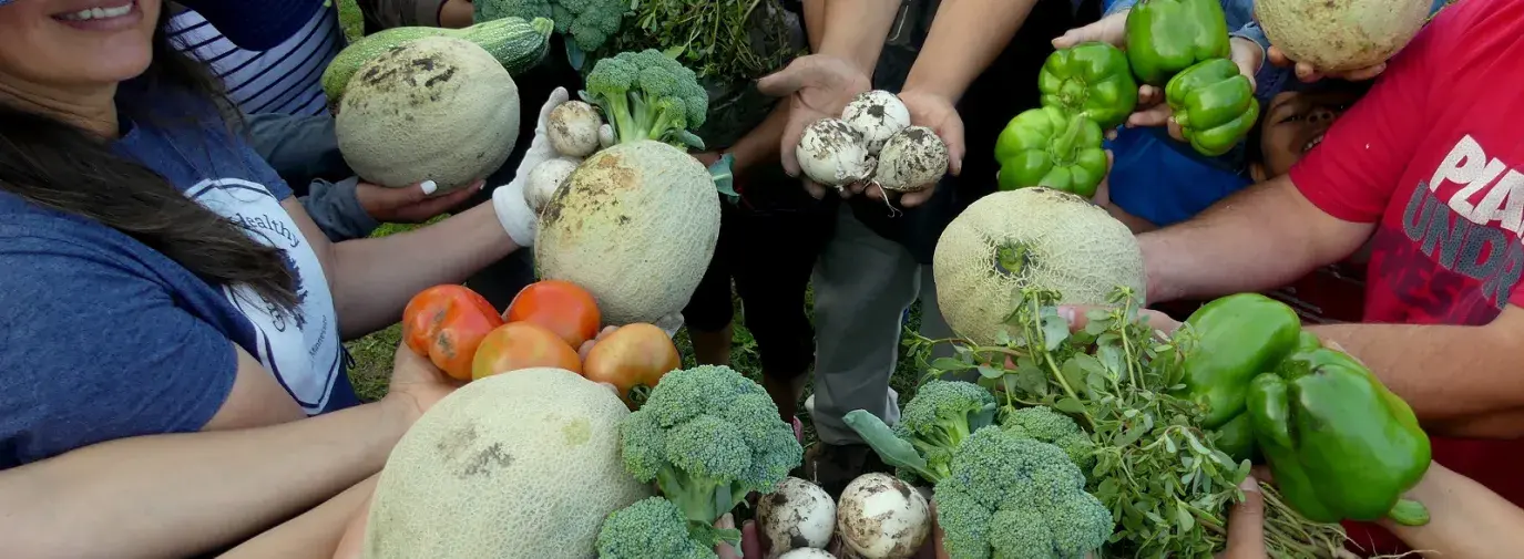 group harvest; people holding crops