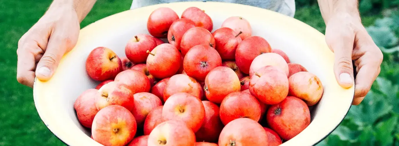 Image: person holding large bowl of apples. Title: 10 Ways to Join the Sharing Economy